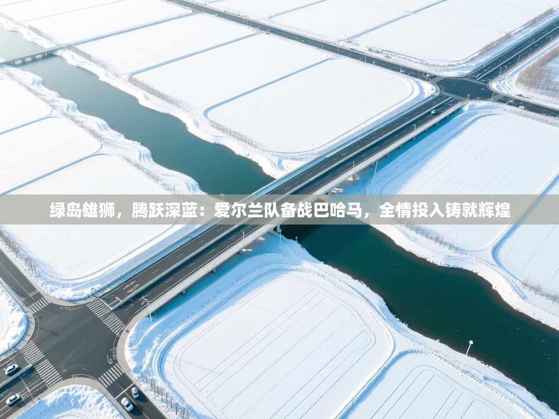 绿岛雄狮，腾跃深蓝：爱尔兰队备战巴哈马，全情投入铸就辉煌  第2张